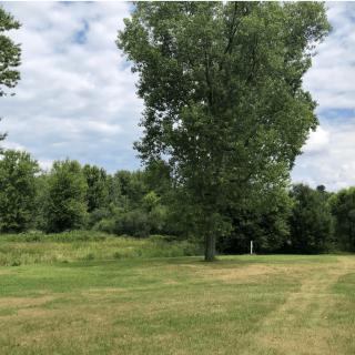 A peaceful landscape with a large tree and grassy field under a partly cloudy sky.