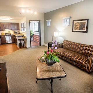 A cozy living room with a striped sofa, a stylish coffee table, and decorative plants, leading into an inviting kitchen.