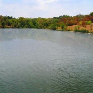 A tranquil lake surrounded by lush trees under a clear sky.