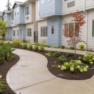 A row of modern townhouses with well-maintained landscaping and a curved pathway.