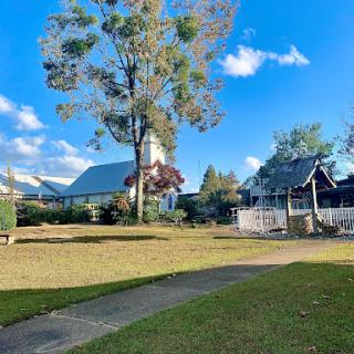 A serene landscape featuring a large tree, a cozy house, and a clear blue sky.
