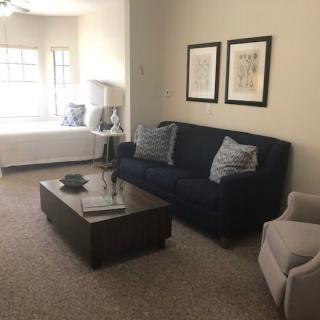A cozy living room featuring a navy sofa, coffee table, and framed artwork on the wall.