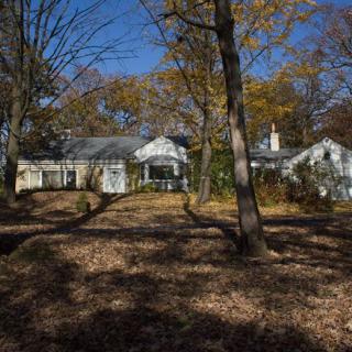A house surrounded by autumn foliage with fallen leaves on the ground.