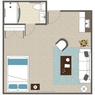 Studio apartment floor plan with a combined living and sleeping area, kitchenette, and bathroom.