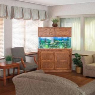 A cozy living room featuring an aquarium in a wooden cabinet, surrounded by comfortable seating and natural light.