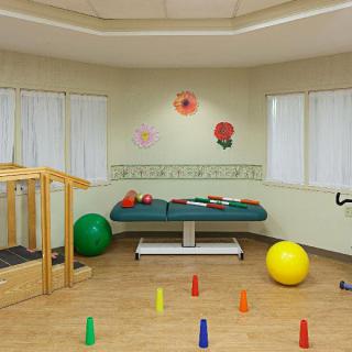 A rehabilitation room equipped with therapy balls and exercise equipment.