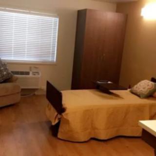 A tidy room featuring a hospital bed and an armchair.
