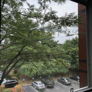 A serene view from the window showcasing lush greenery and parked cars on a cloudy day.