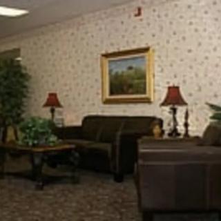 A cozy living room with sofas, lamps, a table, and decorative plants.