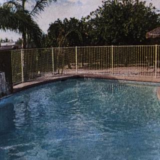 A sunny day by the outdoor swimming pool surrounded by a safety fence and palm trees.