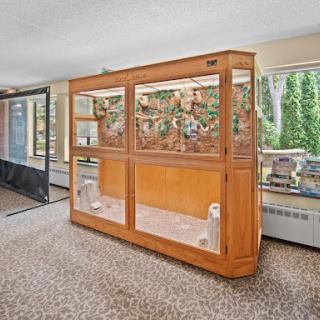A wooden display case with glass doors showcasing decorative items in a bright interior space.