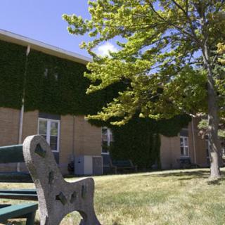 A sunny day view of a building with ivy-covered walls, a nearby tree, and a bench on the grass.