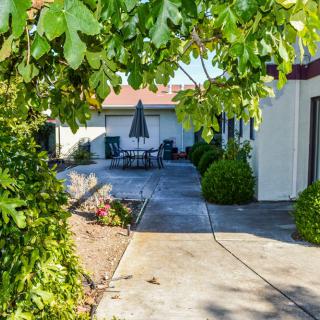 A peaceful patio area surrounded by lush greenery and outdoor seating.