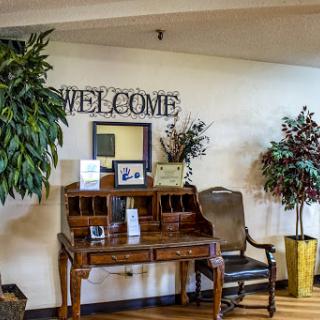 A welcoming reception area with a desk, plants, and a warm atmosphere.
