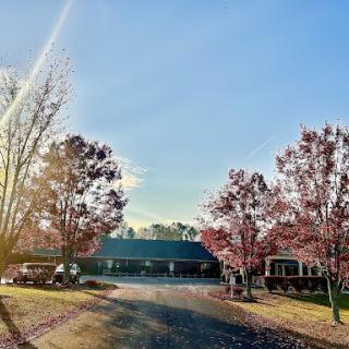 A serene autumn scene with colorful trees lining a peaceful road under a clear blue sky.