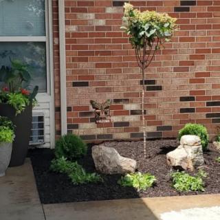 A landscaped garden area featuring a small tree, rocks, and various plants with a brick wall backdrop.
