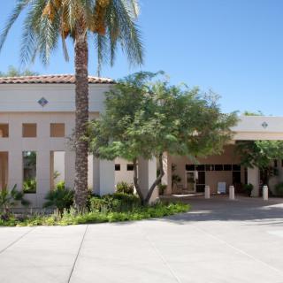 A sunny day at a building entrance surrounded by palm trees and greenery.