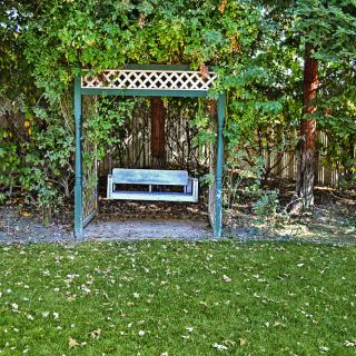 A garden swing bench surrounded by lush greenery.