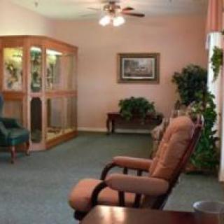 A cozy living room with comfortable seating, a display cabinet, and indoor plants.