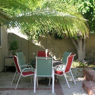 A cozy garden patio with chairs and a table under the shade of a palm tree.