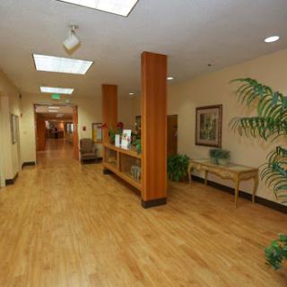 A spacious and welcoming hallway in a healthcare facility, featuring wooden flooring and decorative plants.