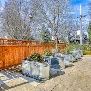 A row of metal planters with greenery against a wooden fence on a sunny day.