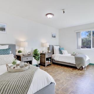 A bright and modern bedroom featuring two twin beds with stylish furnishings and ample natural light.