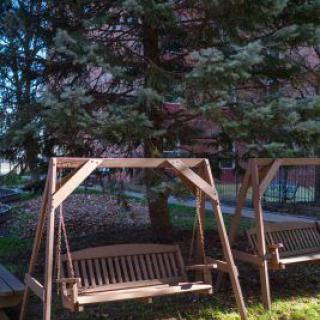 A peaceful outdoor area featuring wooden swings under the shade of tall trees.