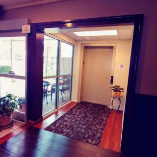 A hallway in an interior setting featuring an elevator, with plants and a patterned carpet near a window.