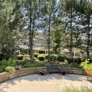 A serene garden with tall trees, a stone bench, and lush greenery.