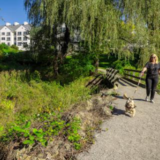 A woman enjoying a sunny day while walking her dog along a beautiful pathway surrounded by greenery.