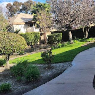 A serene view of a garden with a house in the background, featuring well-maintained greenery and a winding pathway.