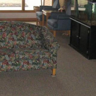 A living room area featuring a floral-patterned sofa and an aquarium.