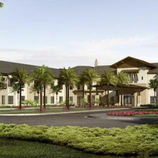A modern hotel featuring a welcoming entrance surrounded by palm trees and lush landscaping.