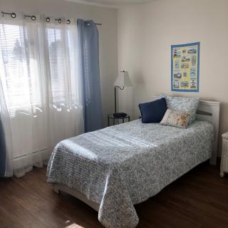 A cozy bedroom with a single bed, blue curtains, and sunlight streaming through the window.