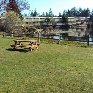 A serene park scene with a picnic table overlooking a lake and trees, with a building in the background.