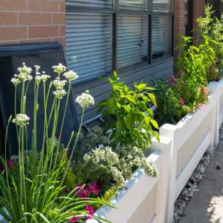 A row of planter boxes with various plants and flowers in an urban setting.