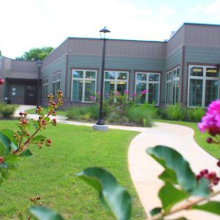A modern building surrounded by lush greenery and vibrant flowers, featuring a winding pathway.