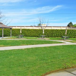 A peaceful park setting with green grass, benches, and a clear blue sky.