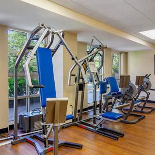 A gym with various exercise machines and equipment lined up for use.