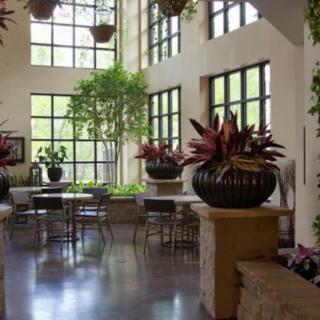A modern interior space with large windows, featuring lush indoor plants and contemporary furniture.