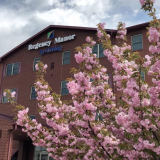 A hotel building with cherry blossoms in the foreground under a cloudy sky.