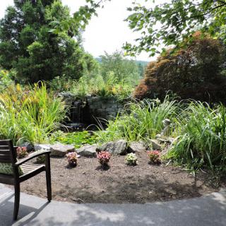 A serene garden view with lush greenery and a cozy bench for relaxation.