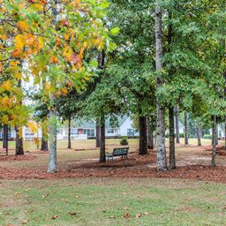 A tranquil park scene with a bench surrounded by trees in autumn.