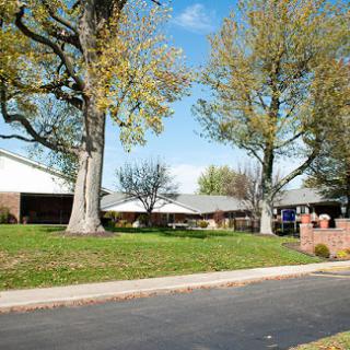 A peaceful neighborhood scene featuring lush trees and a clear blue sky alongside a quiet road.