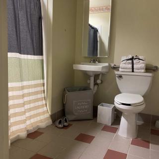 A tidy bathroom with a shower curtain, sink, mirror, and toilet.