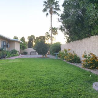A neatly maintained backyard with a green lawn, surrounded by trees and shrubs, bordered by a fence.
