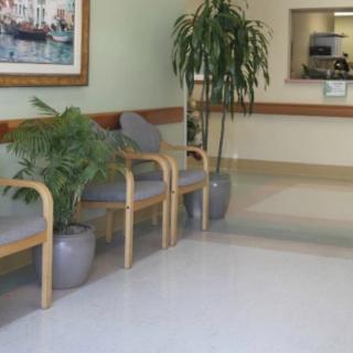 A quiet waiting room with chairs, plants, and a reception area.