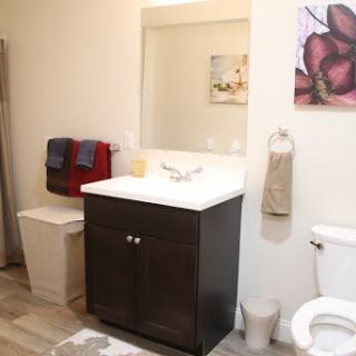 A modern bathroom featuring a stylish vanity, toilet, and decorative elements.