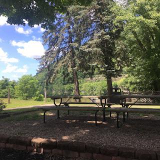A serene outdoor park scene featuring benches under a lush tree canopy.